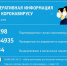 ОПЕРАТИВНЫЕ ДАННЫЕ НА 13 МАЯ: 2 СЛУЧАЯ ЗАРАЖЕНИЯ В ДЕГТЯРСКЕ - Городской округ Дегтярск